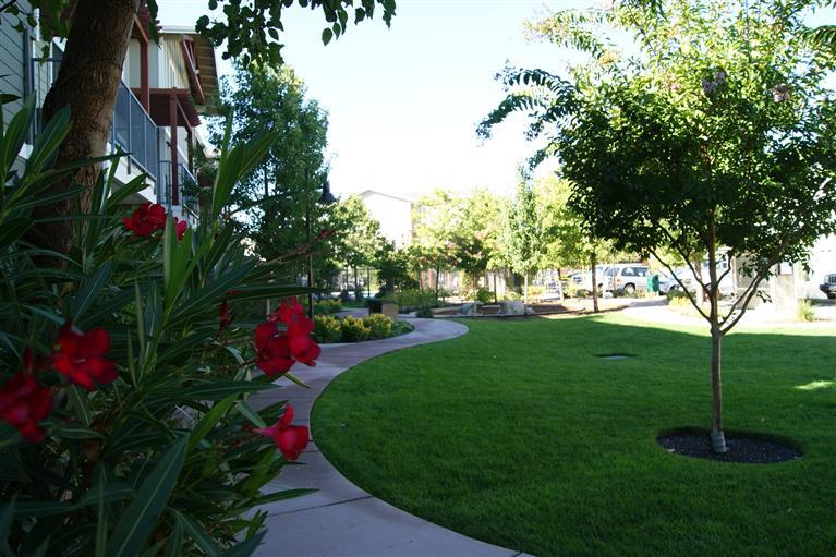 1818 Moore Blvd #122, Davis, CA 95618 photo 3