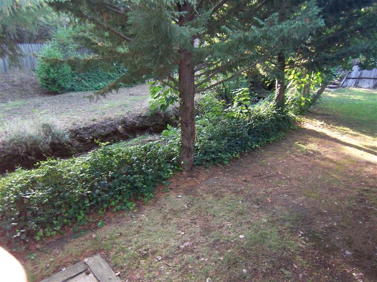 2820 Debbie Ln, Placerville, CA 95667 photo 12