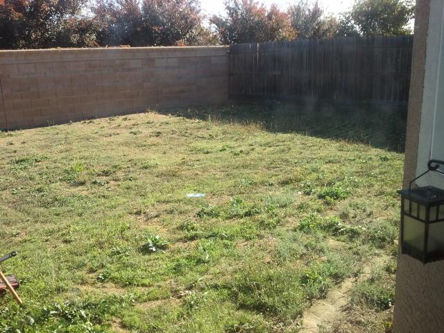 1045 Tiburon, Olivehurst, CA 95961 photo 18