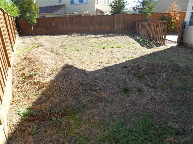 2558 Greenleaf St, Manteca, CA 95337 photo 19