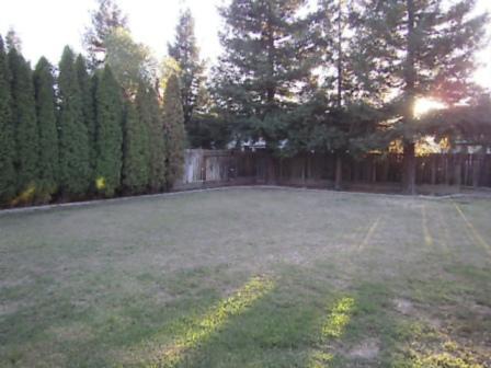 4820 Demaree Pl, Salida, CA 95368 photo 12