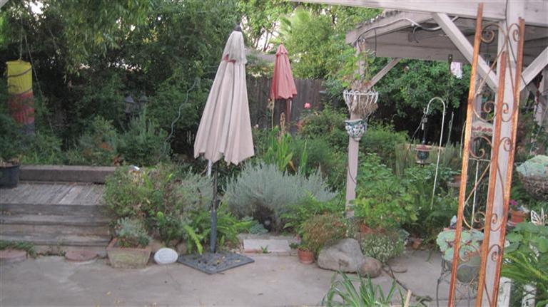 1105 Ulrich Ave, Modesto, CA 95350 photo 12
