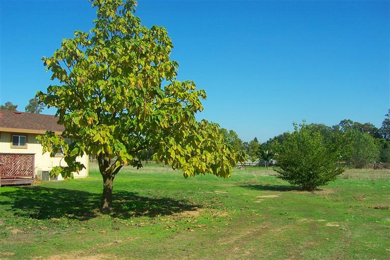 11840 Walmort Rd, Wilton, CA 95693 photo 20