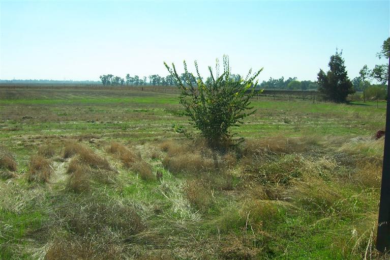 11840 Walmort Rd, Wilton, CA 95693 photo 23