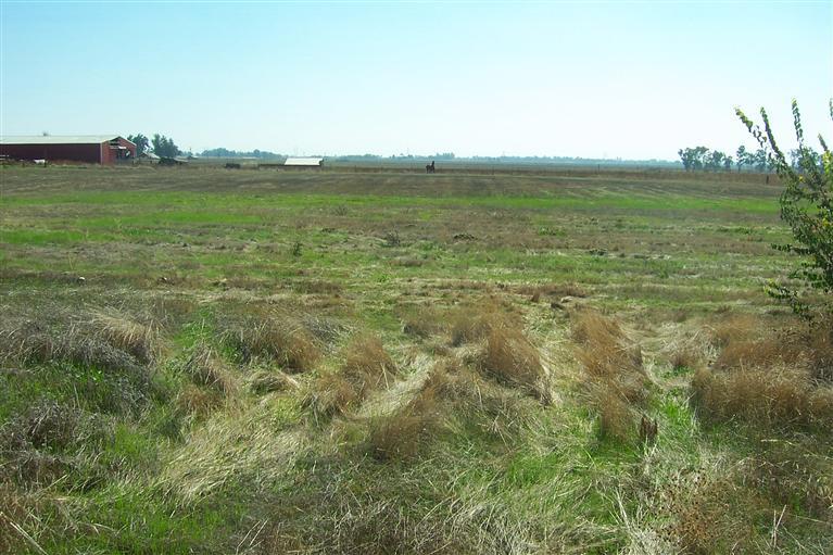11840 Walmort Rd, Wilton, CA 95693 photo 24