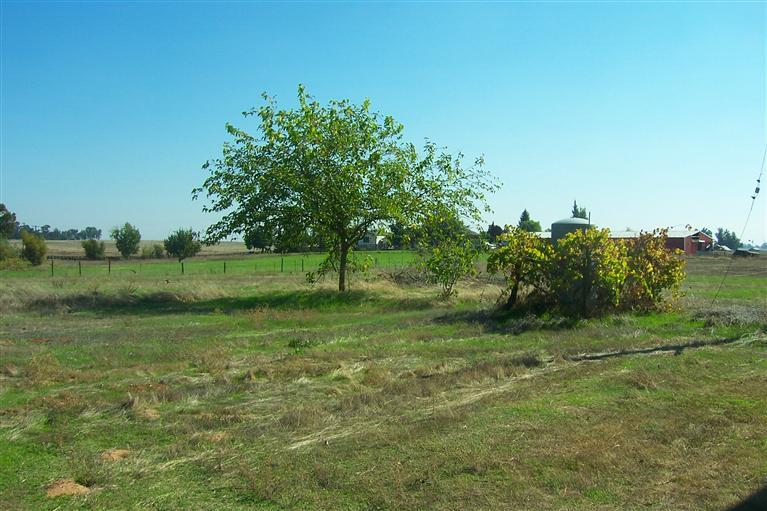 11840 Walmort Rd, Wilton, CA 95693 photo 19