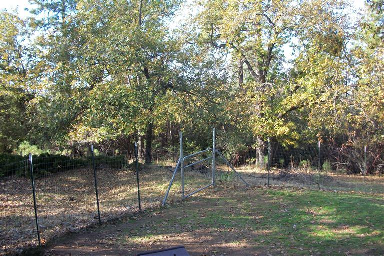 1351 Big Oak Rd, Placerville, CA 95667 photo 20