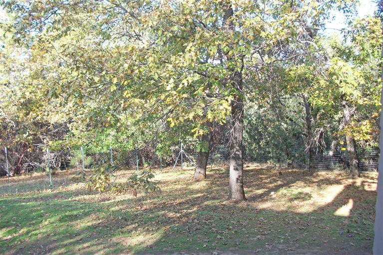 1351 Big Oak Rd, Placerville, CA 95667 photo 19
