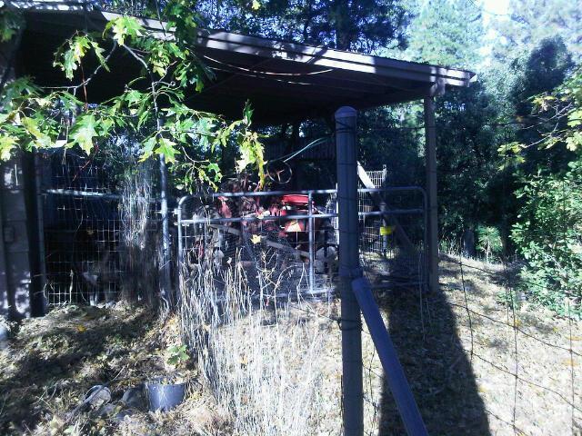 1351 Big Oak Rd, Placerville, CA 95667 photo 24