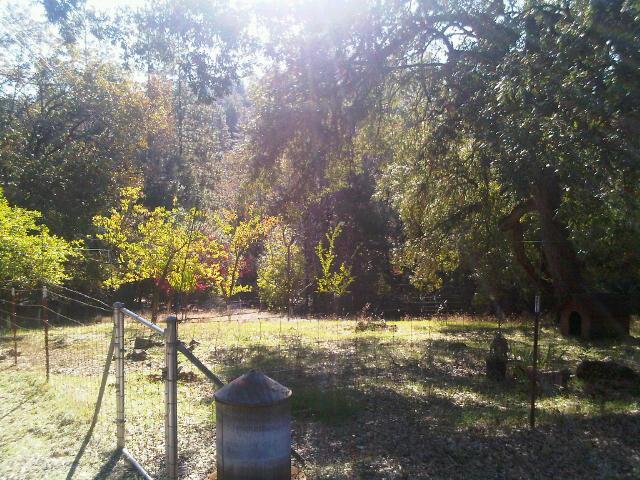 1351 Big Oak Rd, Placerville, CA 95667 photo 8