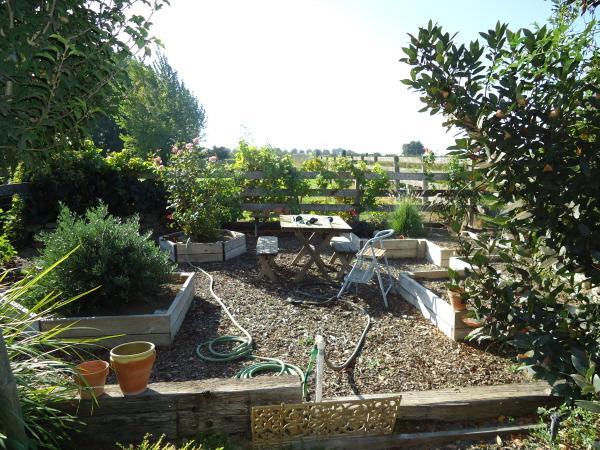 1219 Clark Rd, Modesto, CA 95358 photo 19