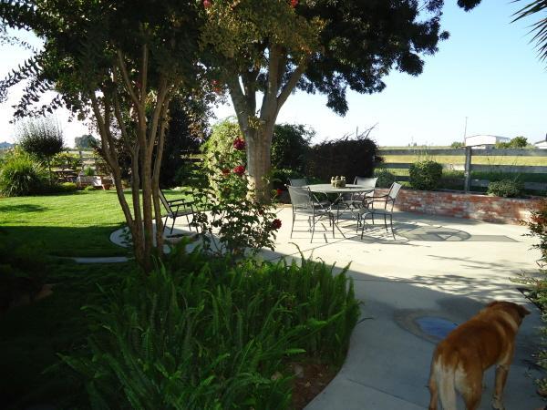 1219 Clark Rd, Modesto, CA 95358 photo 16