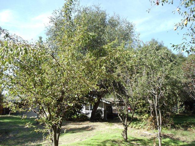 6380 Rustic Hills Dr, Rocklin, CA 95677 photo 21