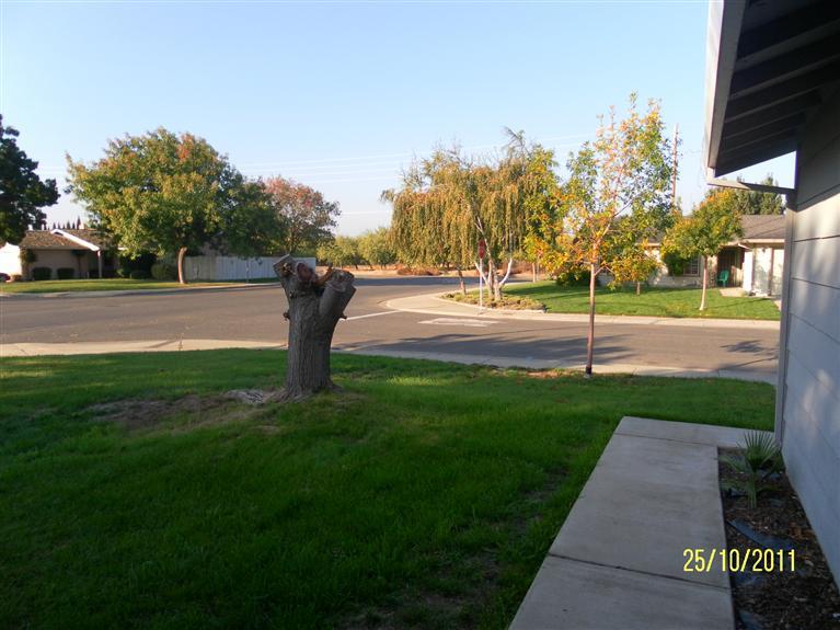 1000 Chalone Ct, Modesto, CA 95358 photo 18