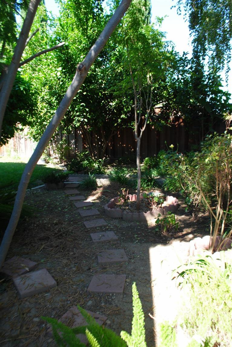 1101 Providence Ct, Tracy, CA 95376 photo 17