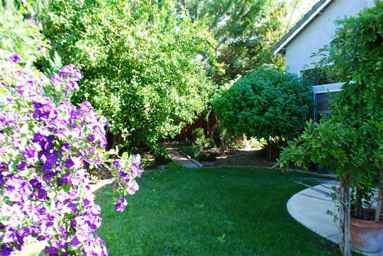 1101 Providence Ct, Tracy, CA 95376 photo 18