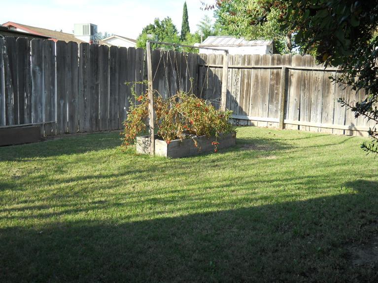 1461 W 4th St, Ripon, CA 95366 photo 14