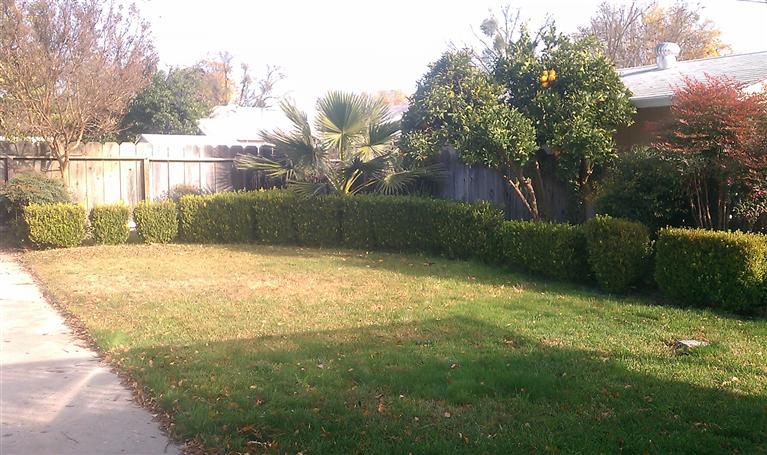 241 Kavanagh Ave, Modesto, CA 95350 photo 2