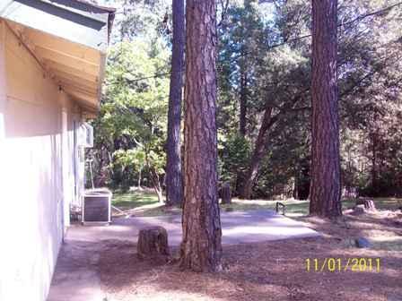 12646 Eldel Rd, Pine Grove, CA 95665 photo 5