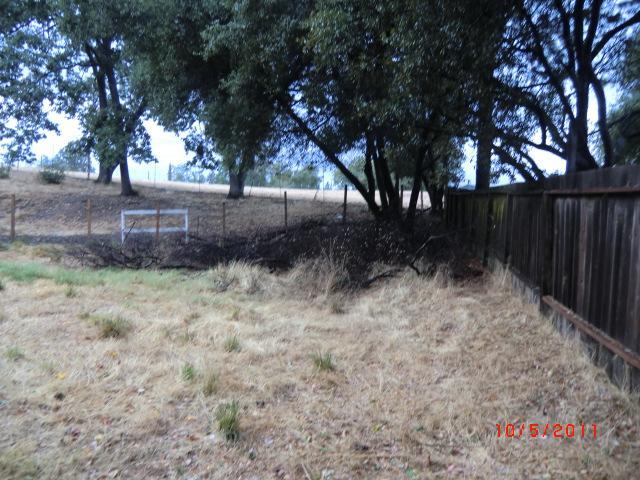 1711 Pepperland Rd, Placerville, CA 95667 photo 4