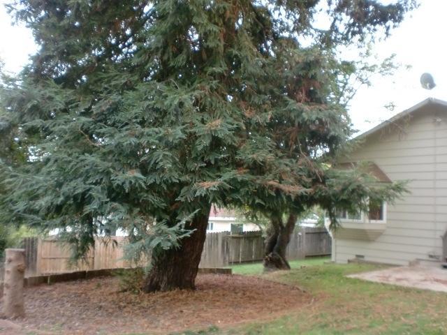 3721 Chaney Ct, Carmichael, CA 95608 photo 15