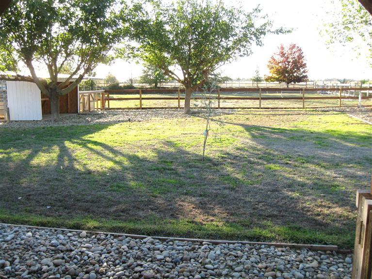 8031 Rivergreen Dr, Elverta, CA 95626 photo 24