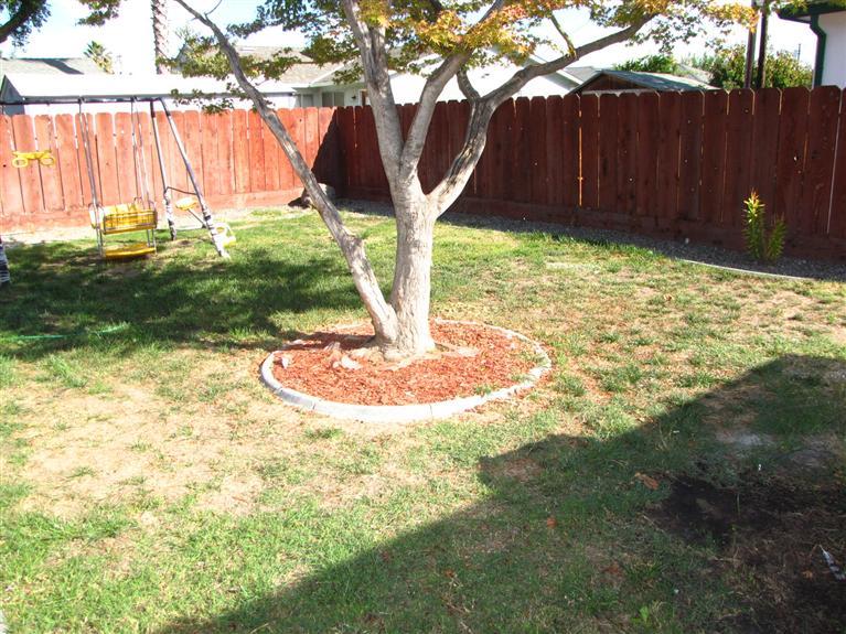229 W Kent St, Manteca, CA 95337 photo 15