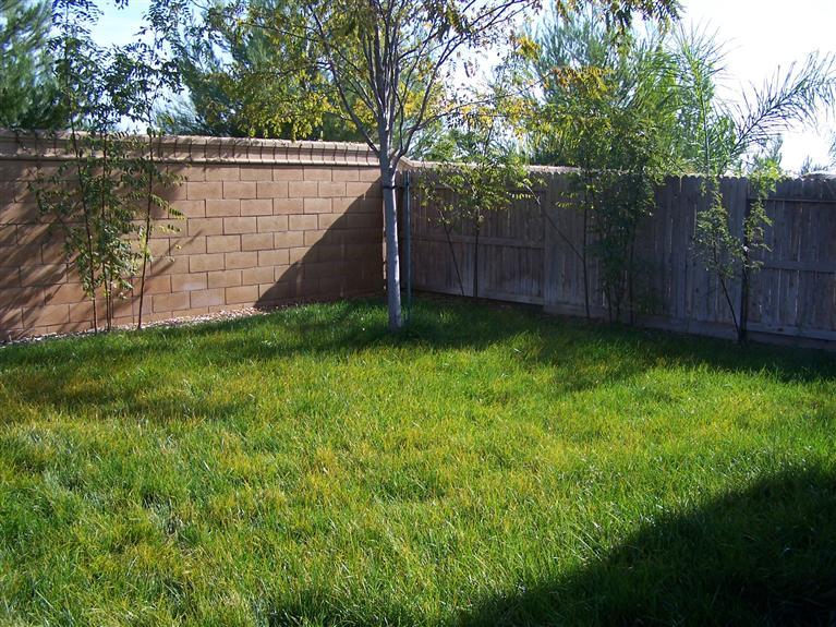 1746 Dalia Ln, Manteca, CA 95337 photo 2