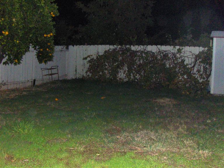 7601 Oak Top Way, Fair Oaks, CA 95628 photo 9