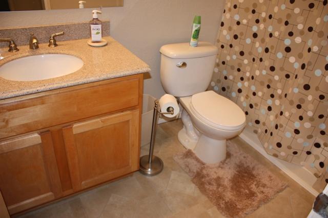 199 Spoonbill Ln, Galt, CA 95632 photo 3