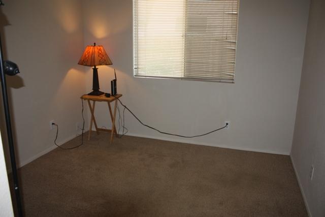 199 Spoonbill Ln, Galt, CA 95632 photo 8