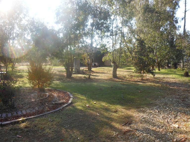 9537 Dillard Rd, Wilton, CA 95693 photo 10