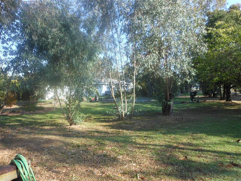 9537 Dillard Rd, Wilton, CA 95693 photo 7