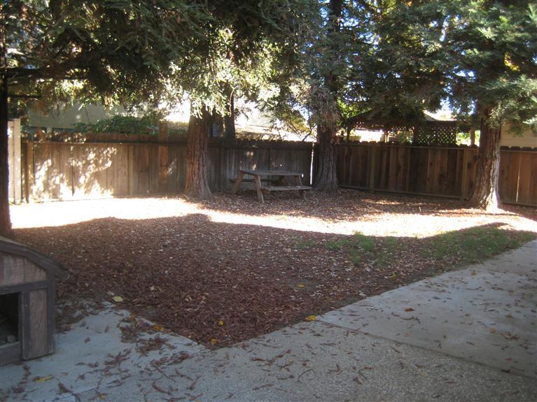2409 Veneman Ave, Modesto, CA 95356 photo 13