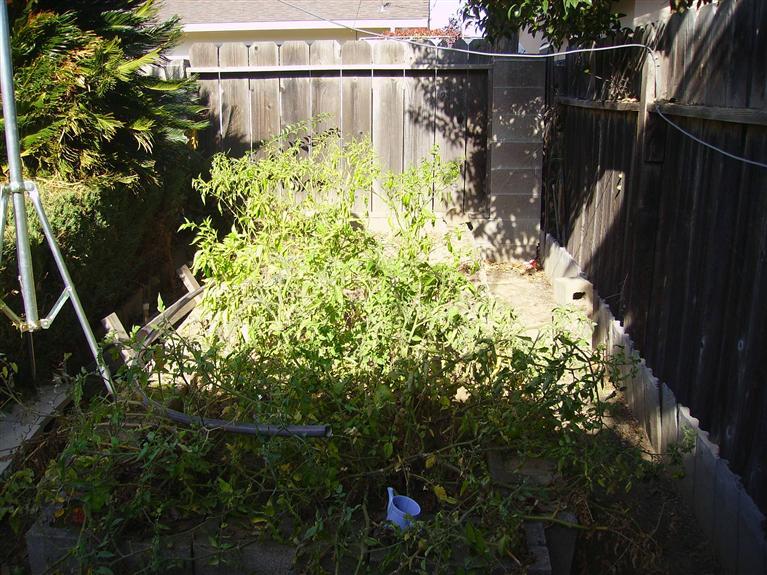 2131 Debbie Ln, Lodi, CA 95242 photo 8