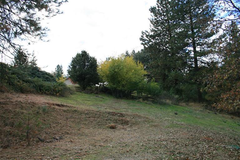 1268 Crow Haven Ct, Colfax, CA 95713 photo 20