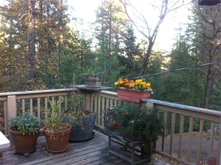 2440 Pleasant Valley Rd, Placerville, CA 95667 photo 10