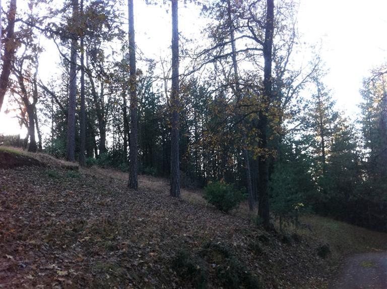 2440 Pleasant Valley Rd, Placerville, CA 95667 photo 13