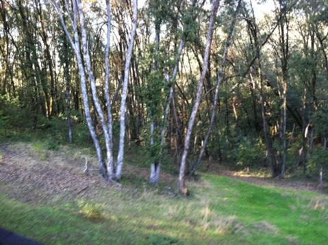 13451 W View Dr, Sutter Creek, CA 95685 photo 4