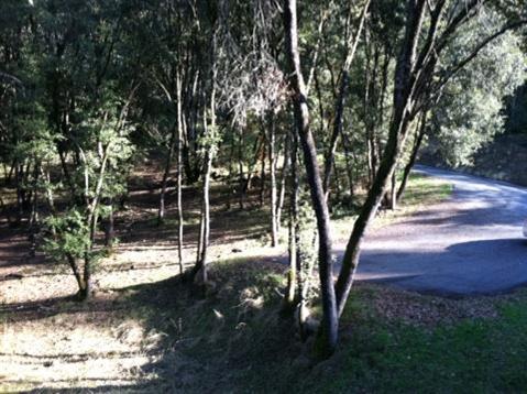 13451 W View Dr, Sutter Creek, CA 95685 photo 3