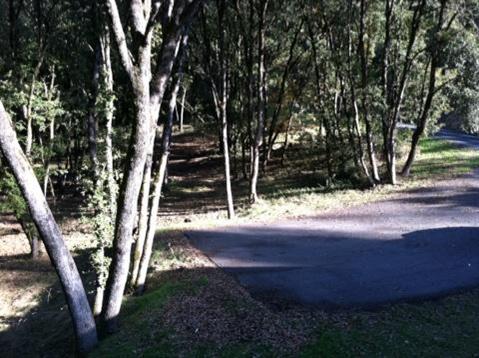 13451 W View Dr, Sutter Creek, CA 95685 photo 2