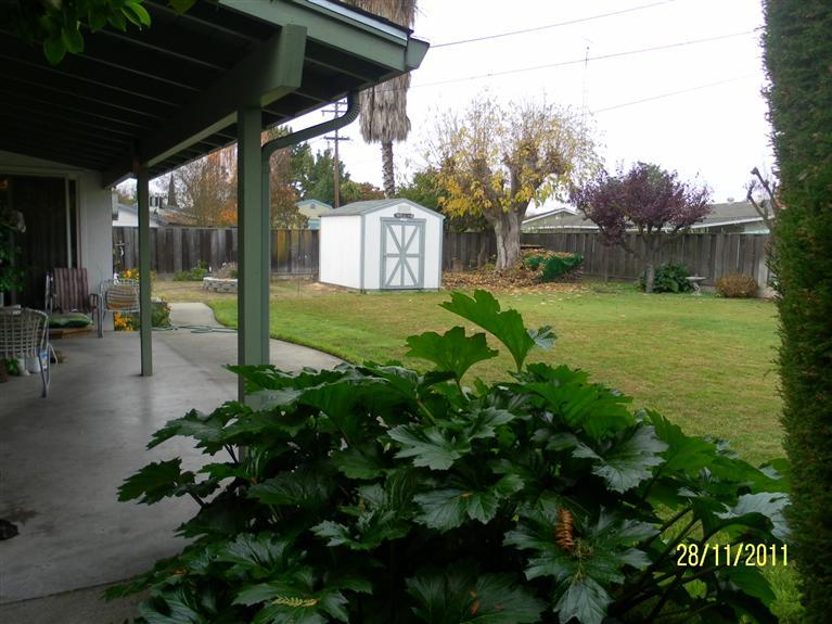 1537 Marsha Ave, Modesto, CA 95350 photo 8