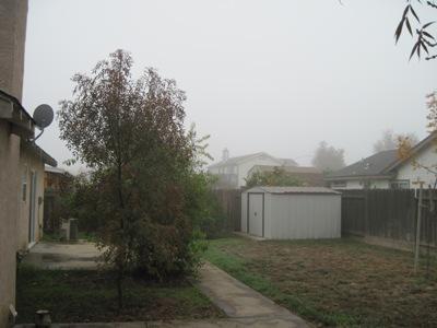 1003 Eucalyptus Ave, Newman, CA 95360 photo 16