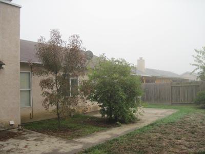 1003 Eucalyptus Ave, Newman, CA 95360 photo 17