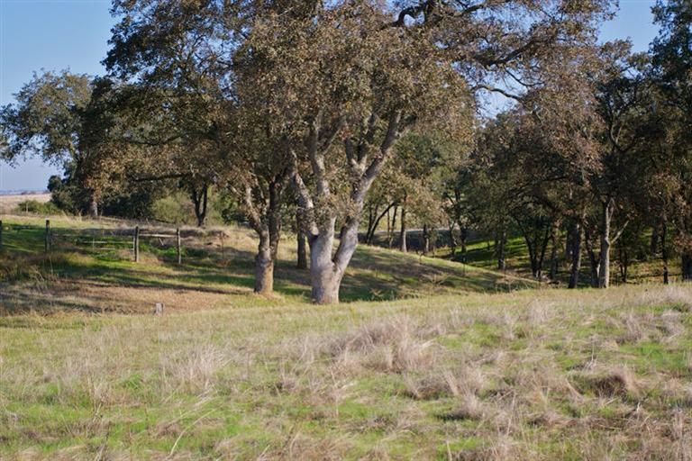 21730 E Acampo Rd, Clements, CA 95227 photo 6