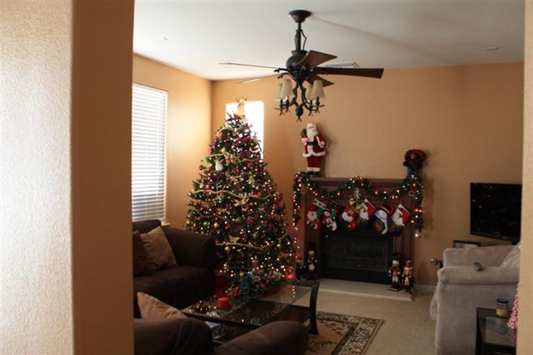 3696 Fallview Ave, Ceres, CA 95307 photo 8
