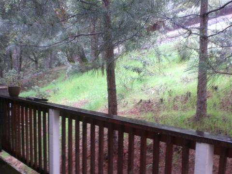 1362 Oak Ridge Dr, Colfax, CA 95713 photo 2