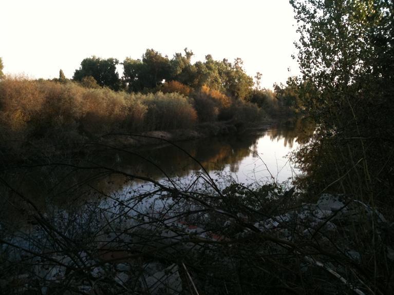 3216 Paradise Rd, Modesto, CA 95358 photo 14