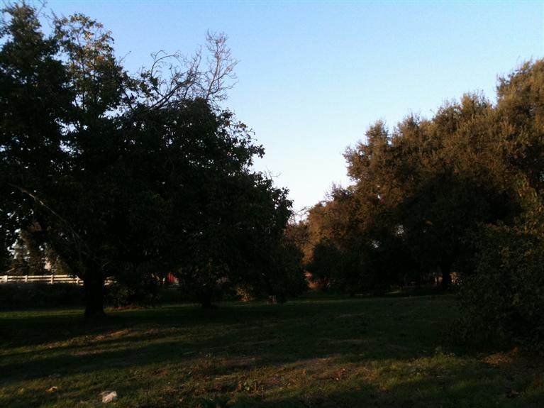 3216 Paradise Rd, Modesto, CA 95358 photo 16