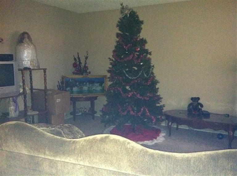 8151 Leyden St, Elverta, CA 95626 photo 2